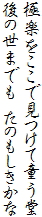 極楽をここで見つけて童う堂
後の世までも たのもしきかな